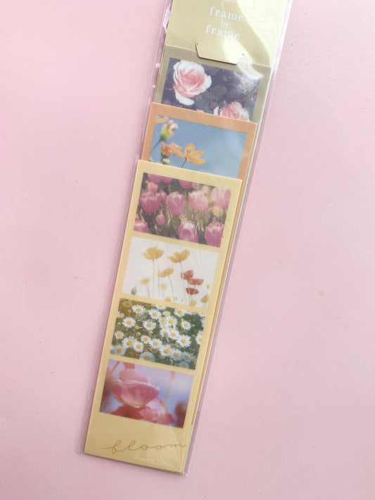 Frame by Frame Floral Stickers